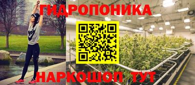 индика Канаш