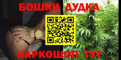 индика Канаш