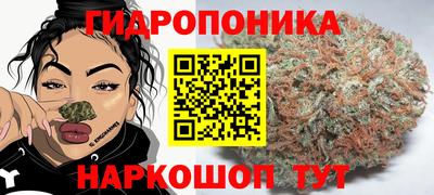 индика Канаш