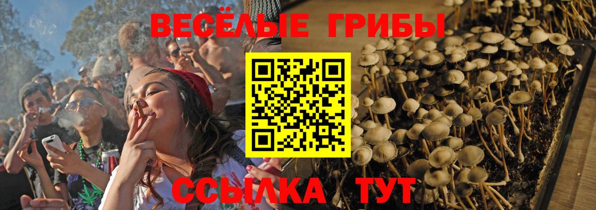 наркошоп  Псилоцибиновые грибы прущие грибы  Вход с VPN  Верхняя Пышма 